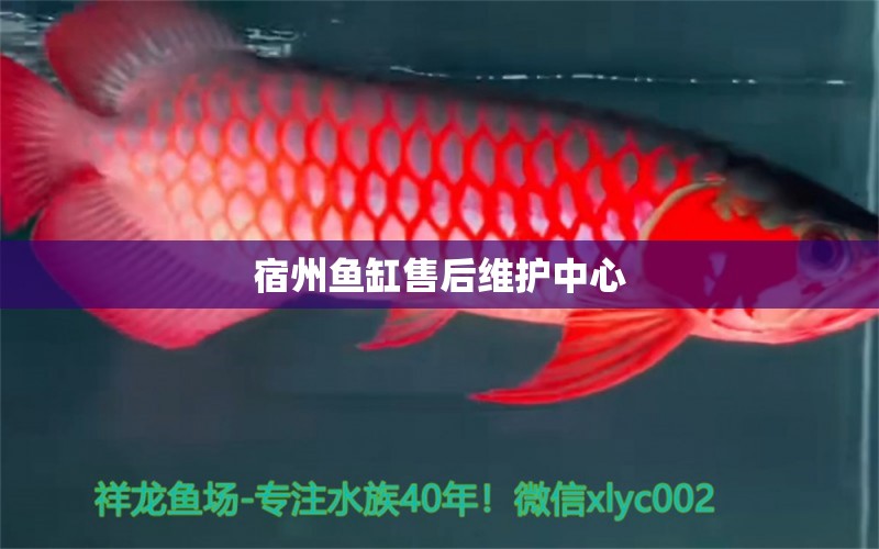 宿州魚缸售后維護(hù)中心 其他品牌魚缸