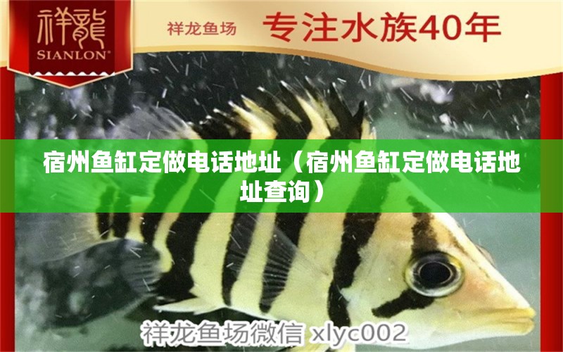 宿州魚缸定做電話地址（宿州魚缸定做電話地址查詢） 祥龍水族醫(yī)院