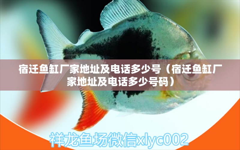 宿遷魚缸廠家地址及電話多少號（宿遷魚缸廠家地址及電話多少號碼） 可麗愛魚缸