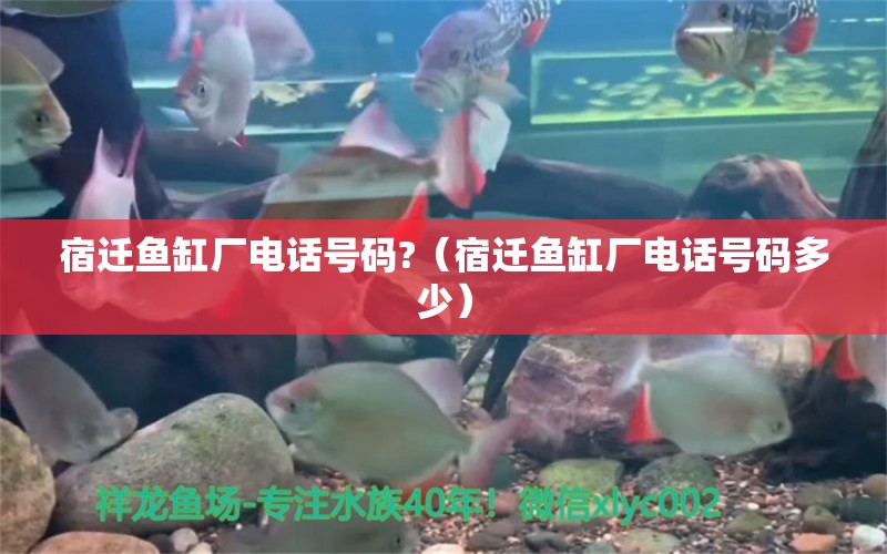 宿遷魚缸廠電話號碼?（宿遷魚缸廠電話號碼多少） 其他品牌魚缸