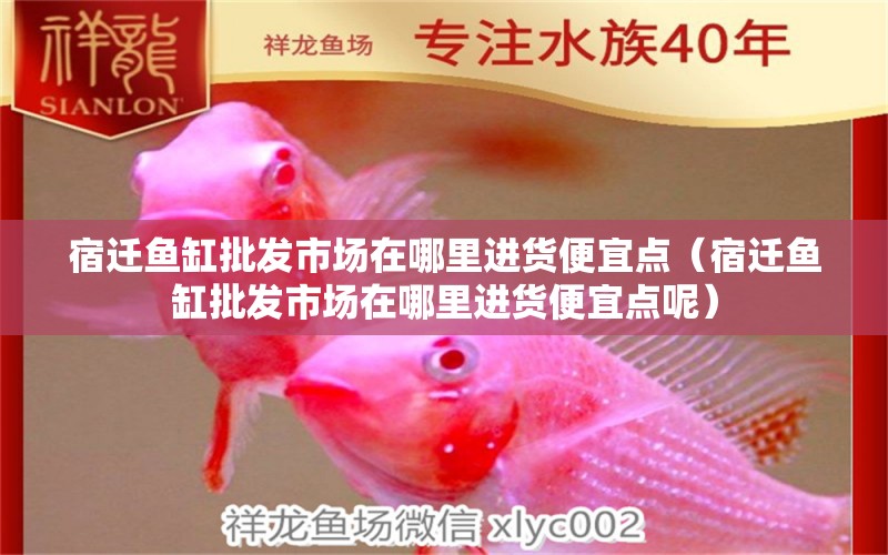 宿遷魚缸批發(fā)市場在哪里進(jìn)貨便宜點(diǎn)（宿遷魚缸批發(fā)市場在哪里進(jìn)貨便宜點(diǎn)呢） 觀賞魚市場（混養(yǎng)魚）