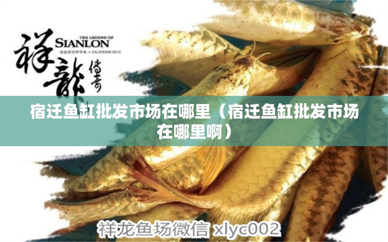 宿遷魚缸批發(fā)市場在哪里（宿遷魚缸批發(fā)市場在哪里?。? title=