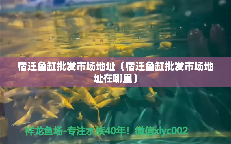 宿遷魚缸批發(fā)市場地址（宿遷魚缸批發(fā)市場地址在哪里）