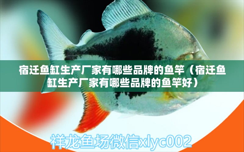 宿遷魚缸生產(chǎn)廠家有哪些品牌的魚竿（宿遷魚缸生產(chǎn)廠家有哪些品牌的魚竿好）