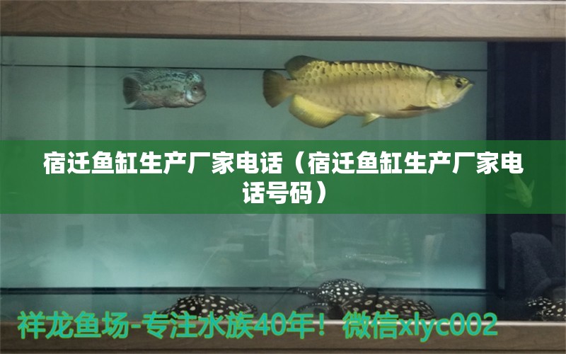 宿遷魚缸生產(chǎn)廠家電話（宿遷魚缸生產(chǎn)廠家電話號(hào)碼） 其他品牌魚缸