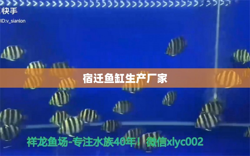 宿遷魚(yú)缸生產(chǎn)廠家 其他品牌魚(yú)缸