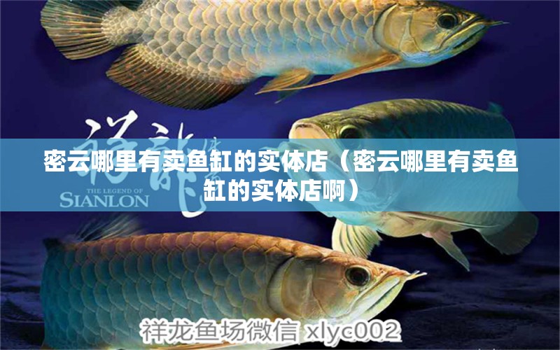 密云哪里有賣魚(yú)缸的實(shí)體店（密云哪里有賣魚(yú)缸的實(shí)體店?。? title=