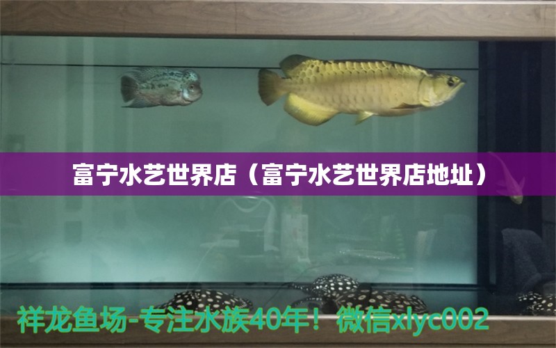 富寧水藝世界店（富寧水藝世界店地址） 全國水族館企業(yè)名錄