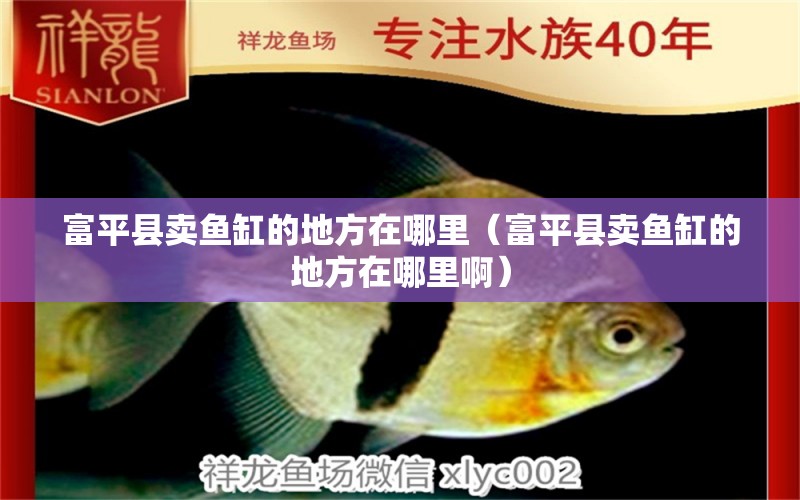 富平縣賣(mài)魚(yú)缸的地方在哪里（富平縣賣(mài)魚(yú)缸的地方在哪里?。? title=