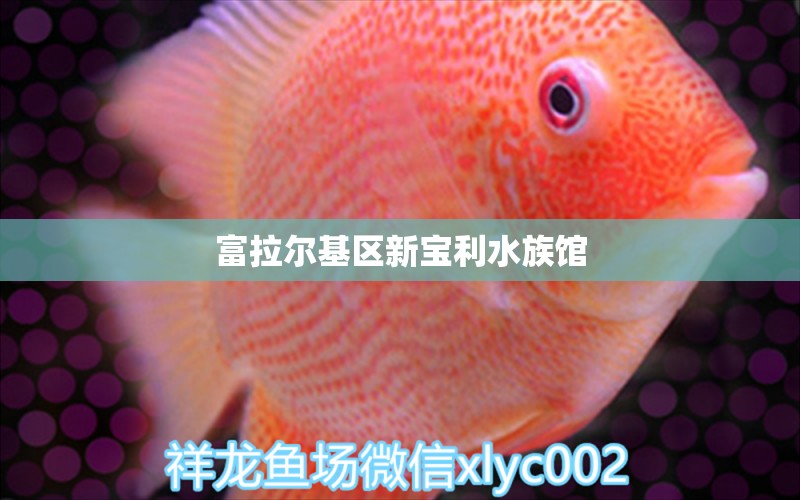 富拉爾基區(qū)新寶利水族館 全國水族館企業(yè)名錄