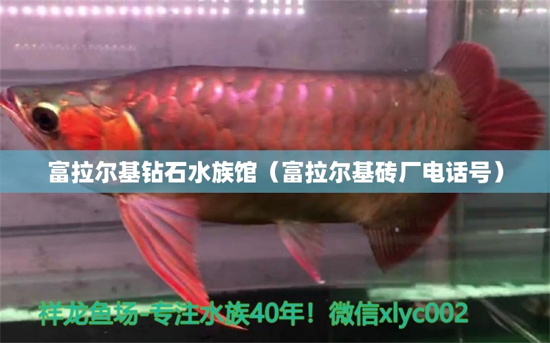 富拉爾基鉆石水族館（富拉爾基磚廠電話號）