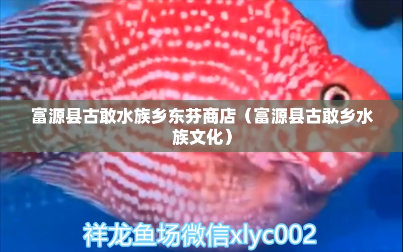 富源縣古敢水族鄉(xiāng)東芬商店（富源縣古敢鄉(xiāng)水族文化）