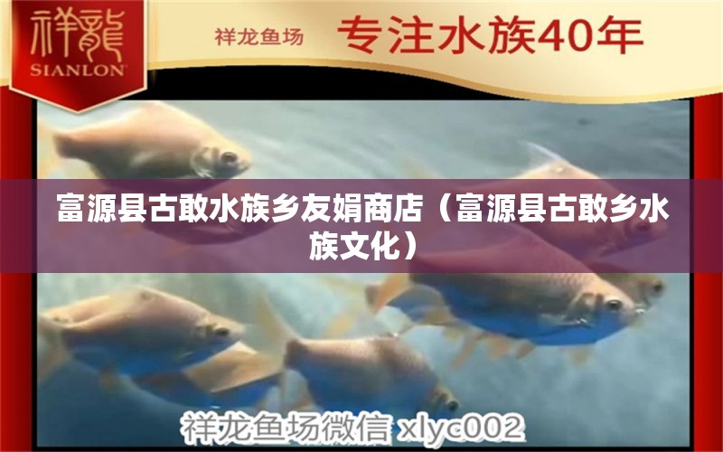 富源縣古敢水族鄉(xiāng)友娟商店（富源縣古敢鄉(xiāng)水族文化）