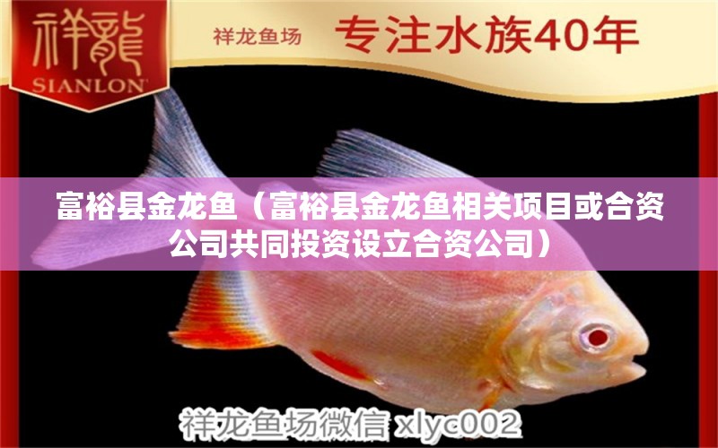 富?？h金龍魚（富?？h金龍魚相關(guān)項(xiàng)目或合資公司共同投資設(shè)立合資公司） 魚缸百科 第1張