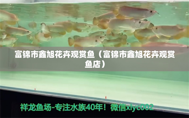 富錦市鑫旭花卉觀賞魚（富錦市鑫旭花卉觀賞魚店） 全國水族館企業(yè)名錄