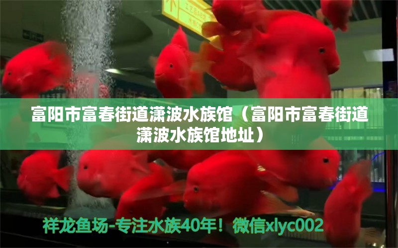 富陽(yáng)市富春街道瀟波水族館（富陽(yáng)市富春街道瀟波水族館地址）