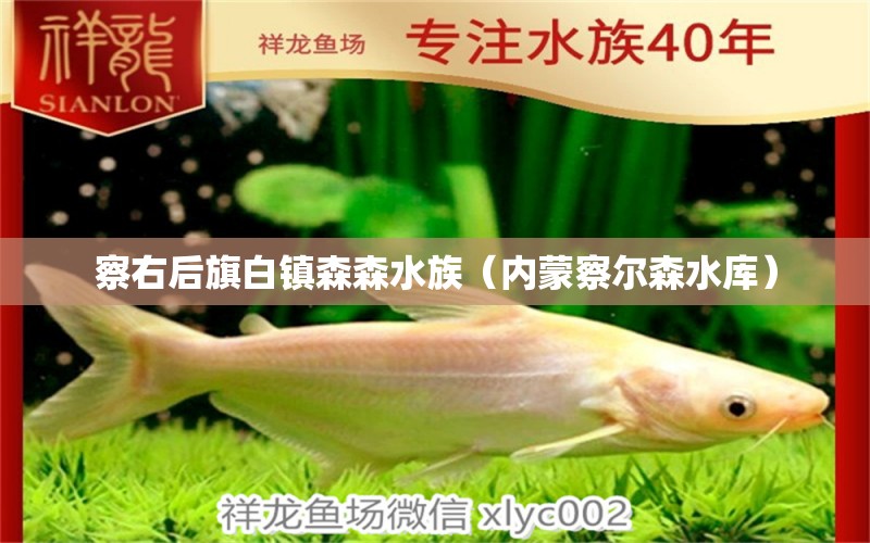 察右后旗白鎮(zhèn)森森水族（內蒙察爾森水庫） 全國水族館企業(yè)名錄