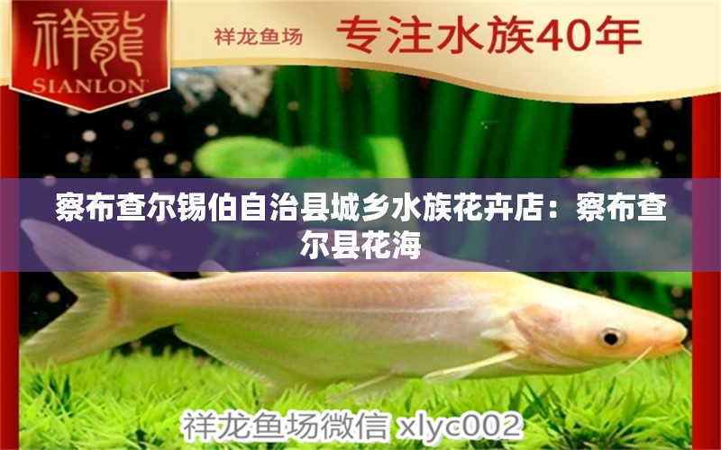 察布查爾錫伯自治縣城鄉(xiāng)水族花卉店：察布查爾縣花海