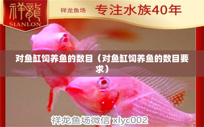 對魚缸飼養(yǎng)魚的數(shù)目（對魚缸飼養(yǎng)魚的數(shù)目要求）