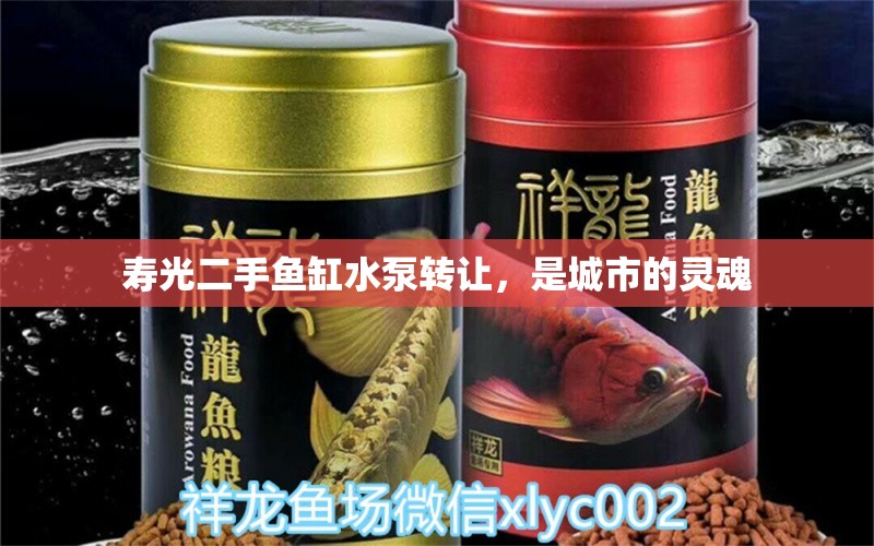 壽光二手魚缸水泵轉(zhuǎn)讓，是城市的靈魂 魚缸水泵 第1張