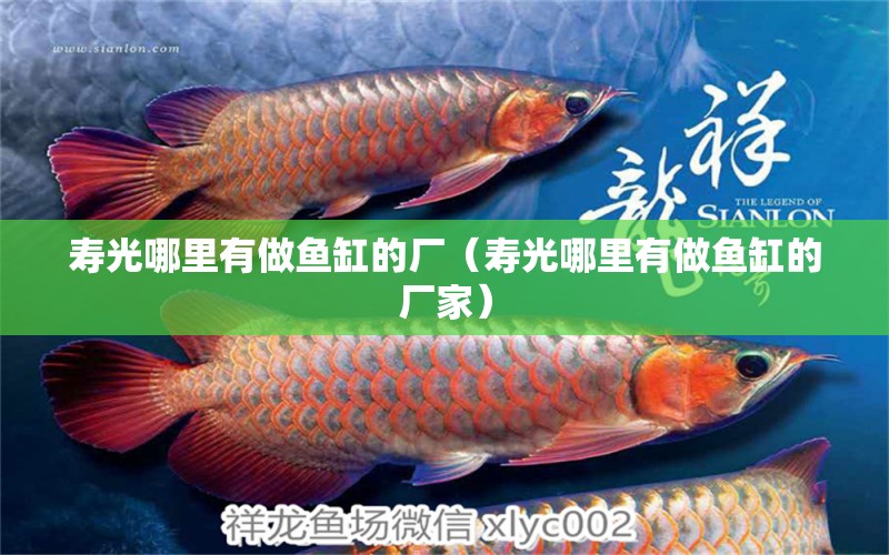 壽光哪里有做魚缸的廠（壽光哪里有做魚缸的廠家）