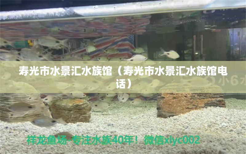 壽光市水景匯水族館（壽光市水景匯水族館電話）