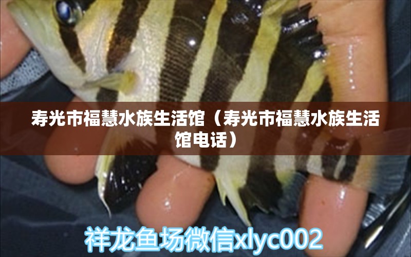 壽光市福慧水族生活館（壽光市?；鬯迳铕^電話） 全國(guó)水族館企業(yè)名錄