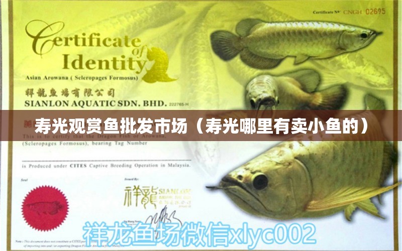 壽光觀賞魚批發(fā)市場（壽光哪里有賣小魚的）