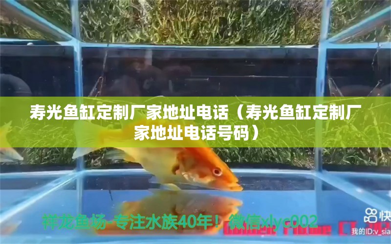 壽光魚缸定制廠家地址電話（壽光魚缸定制廠家地址電話號碼）