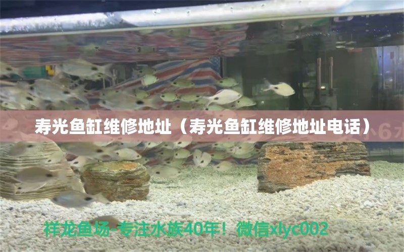 壽光魚(yú)缸維修地址（壽光魚(yú)缸維修地址電話）