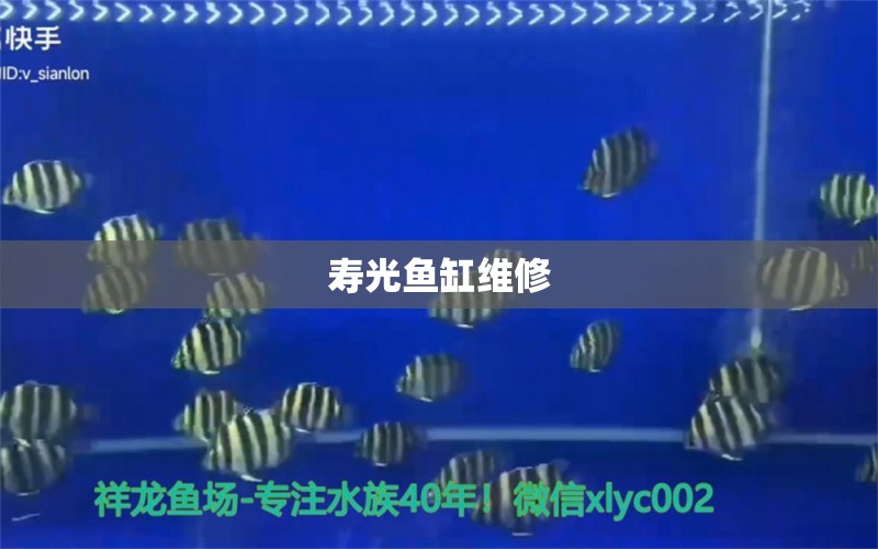 壽光魚缸維修