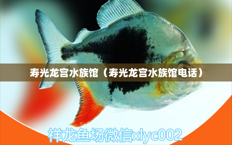 壽光龍宮水族館（壽光龍宮水族館電話）