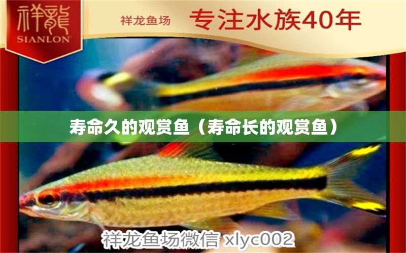 壽命久的觀賞魚(yú)（壽命長(zhǎng)的觀賞魚(yú)） 魚(yú)缸凈水劑