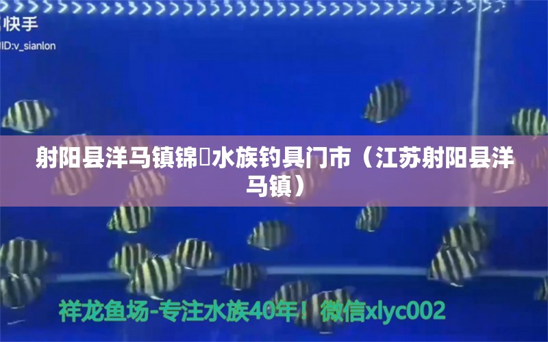 射陽縣洋馬鎮(zhèn)錦鏻水族釣具門市（江蘇射陽縣洋馬鎮(zhèn)） 垂釣樂園