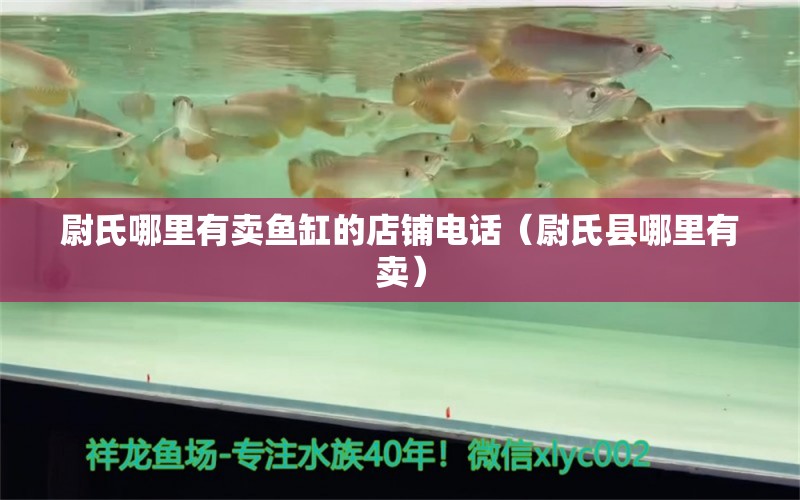 尉氏哪里有賣魚缸的店鋪電話（尉氏縣哪里有賣）