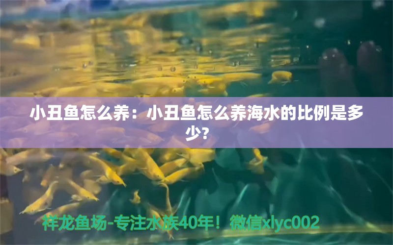 小丑魚怎么養(yǎng)：小丑魚怎么養(yǎng)海水的比例是多少?