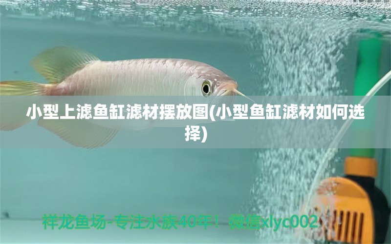 小型上濾魚缸濾材擺放圖(小型魚缸濾材如何選擇)