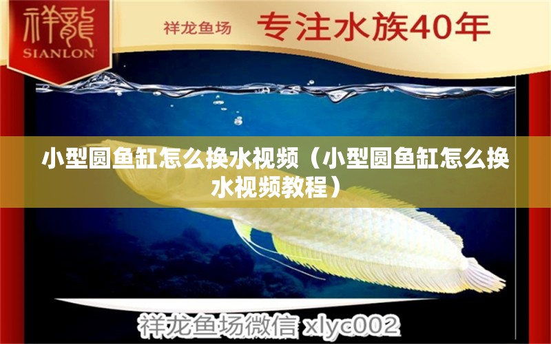 小型圓魚(yú)缸怎么換水視頻（小型圓魚(yú)缸怎么換水視頻教程）