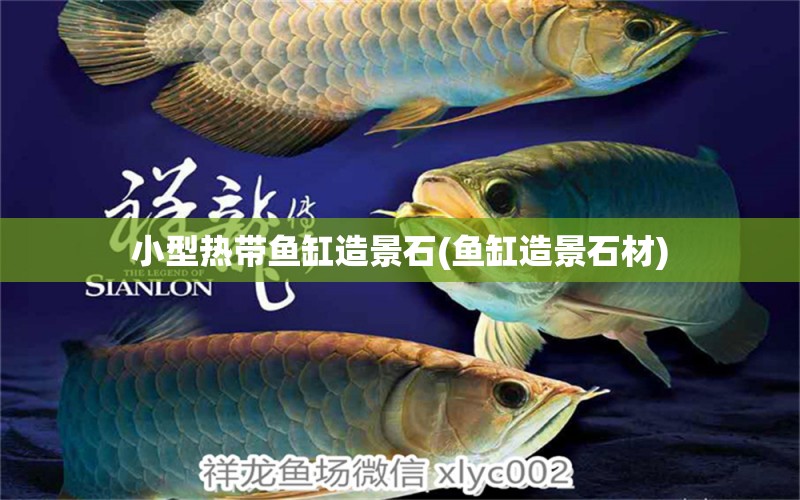 小型熱帶魚缸造景石(魚缸造景石材) 斑馬鴨嘴魚苗