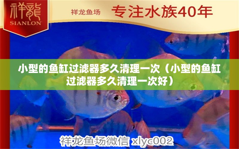 小型的魚缸過濾器多久清理一次（小型的魚缸過濾器多久清理一次好）