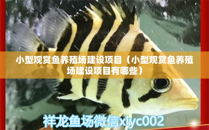 小型觀賞魚養(yǎng)殖場(chǎng)建設(shè)項(xiàng)目（小型觀賞魚養(yǎng)殖場(chǎng)建設(shè)項(xiàng)目有哪些） 小型觀賞魚