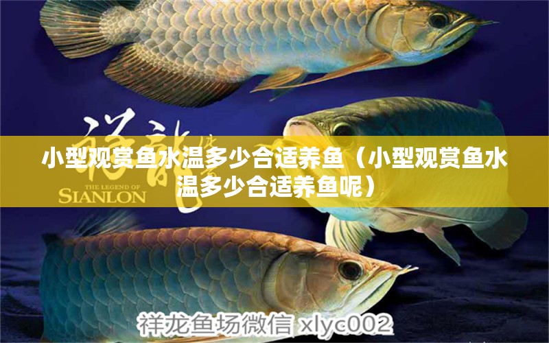 小型觀賞魚水溫多少合適養(yǎng)魚（小型觀賞魚水溫多少合適養(yǎng)魚呢） 小型觀賞魚