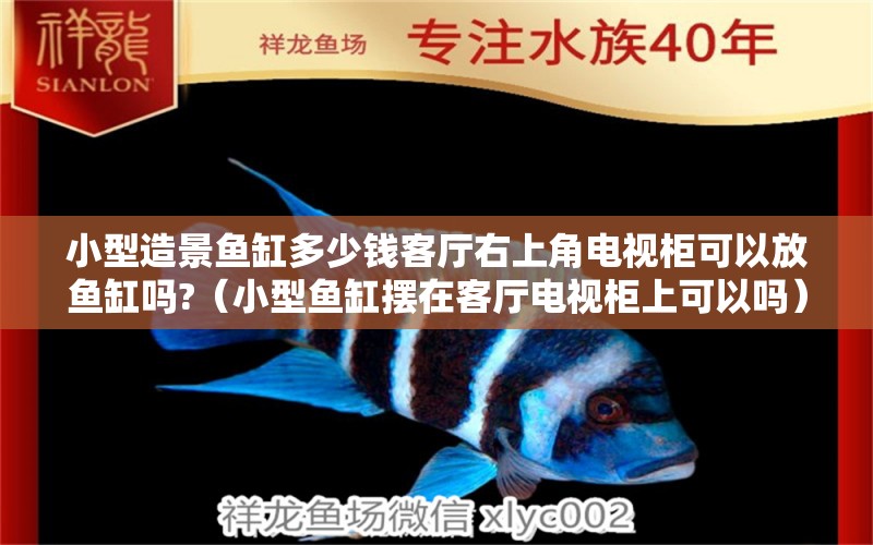 小型造景魚缸多少錢客廳右上角電視柜可以放魚缸嗎?（小型魚缸擺在客廳電視柜上可以嗎）