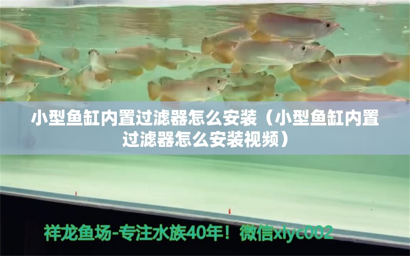 小型魚缸內(nèi)置過濾器怎么安裝（小型魚缸內(nèi)置過濾器怎么安裝視頻）