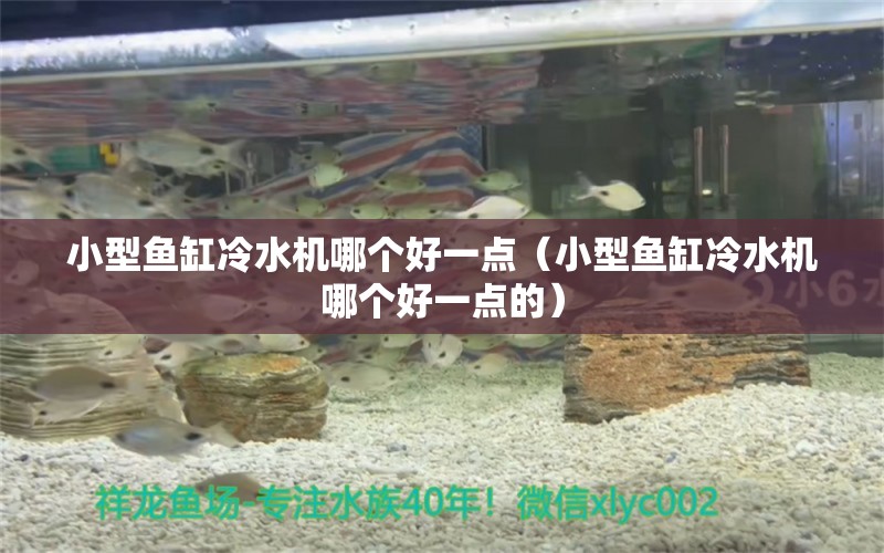 小型魚缸冷水機(jī)哪個(gè)好一點(diǎn)（小型魚缸冷水機(jī)哪個(gè)好一點(diǎn)的）