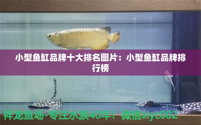 小型魚(yú)缸品牌十大排名圖片：小型魚(yú)缸品牌排行榜