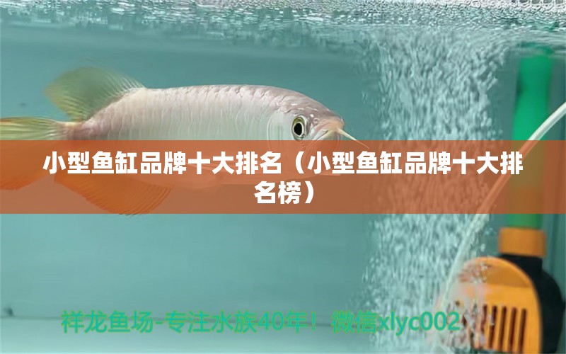 小型魚缸品牌十大排名（小型魚缸品牌十大排名榜）