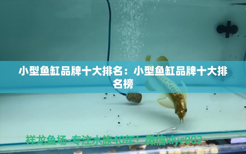 小型魚缸品牌十大排名：小型魚缸品牌十大排名榜 廣州龍魚批發(fā)市場(chǎng)