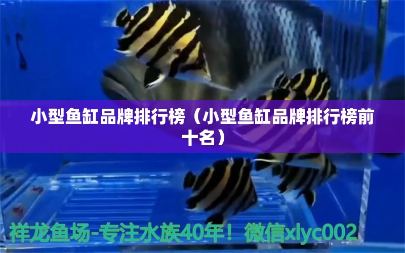 小型魚缸品牌排行榜（小型魚缸品牌排行榜前十名） 其他品牌魚缸