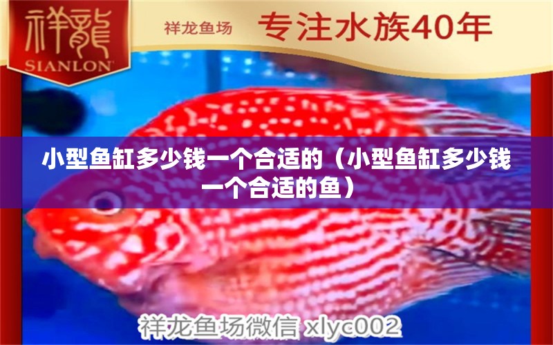 小型魚缸多少錢一個合適的（小型魚缸多少錢一個合適的魚）